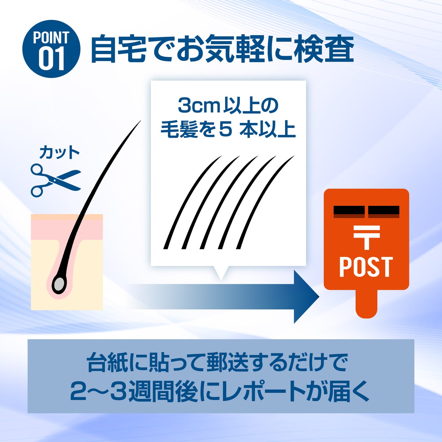 AGAリスク検査キット